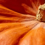 Pumpkin Health Benefits