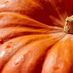 The Health Benefits of Pumpkin